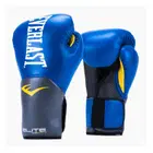 Everlast Pro Style Elite Training Gloves - Blue - 14Oz