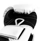 Everlast Powerlock 2 Training Gloves - White - 14Oz