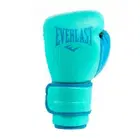 Everlast Powerlock 2 Training Gloves - Biscay - 12Oz