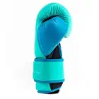 Everlast Powerlock 2 Training Gloves - Biscay - 12Oz