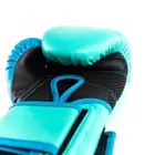 Everlast Powerlock 2 Training Gloves - Biscay - 12Oz