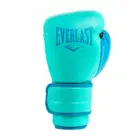 Everlast Powerlock 2 Training Gloves - Biscay - 16Oz