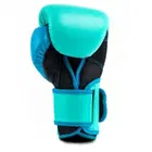 Everlast Powerlock 2 Training Gloves - Biscay - 16Oz