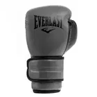 Everlast Powerlock 2 Training Gloves - Charcoal - 14Oz