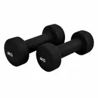 Fitbench Neoprene Hex Dumbbell - Single Piece  - 4 KG