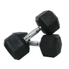 Harley Fitness Premium Rubber Coated Bouncing Hex Dumbbells - 12.5 Kg - Pair