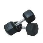 Harley Fitness Premium Rubber Coated Bouncing Hex Dumbbells - 15 Kg - Pair