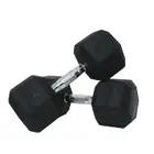 Harley Fitness Premium Rubber Coated Bouncing Hex Dumbbells - 22.5 Kg - Pair