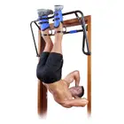 Teeter Inversion and Chin Up System