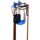 Teeter Inversion and Chin Up System