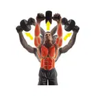 Iron Gym Speed Abs