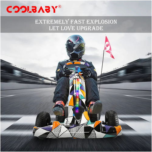 CoolBaby K9 Crazy Drift Electric Krating Scooter-Multi