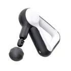 Theragun LIV Professional Massager