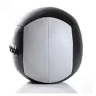 Livepro Wall Ball - 10 Kg