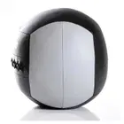 Livepro Wall Ball - 8 Kg