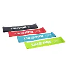 Livepro Resistance Loop Bands