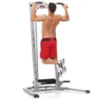 Bowflex Body Tower