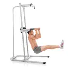 Bowflex Body Tower