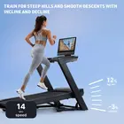 NordicTrack Commercial 2450 Treadmill Foldable