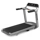 Horizon Fitness Paragon X Treadmill | 3.25 HP