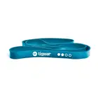 Tiguar Powerband GT - Level 2