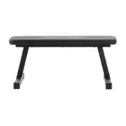 ProForm Flat Bench