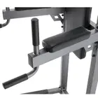ProForm Carbon Strength Power Tower with Dip Stand