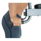 ProForm Carbon Strength Power Tower with Dip Stand