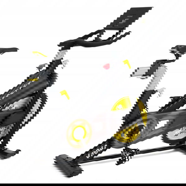 Indoor Cycling Bici Spinning Pro Shop Schwinn IC Pro 20 In