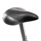 ProForm 320 CSX+ Upright Exercise Bike