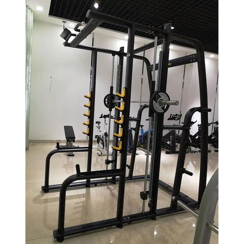 1441 Fitness Heavy Duty Smith Machine - 41Fan17C