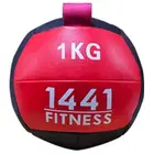 1441 لياقة كرة الحائط - 1 Kg