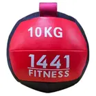 1441 Fitness Wall Ball - 10 Kg