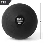 1441 لياقة كرة حائط - مملوءة بالرمل - 2 Kg