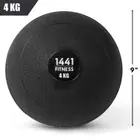 1441 Fitness Wall Ball - Sand Filled - 4 Kg