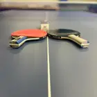 Rais Indoor Table Tennis - ping - pong Table with Wheels