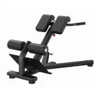 Insight Fitness RE Series Commercial Back Extension