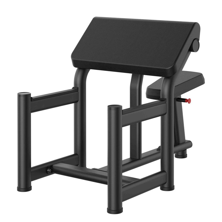 Insight Fitness RE Series Preacher Bench