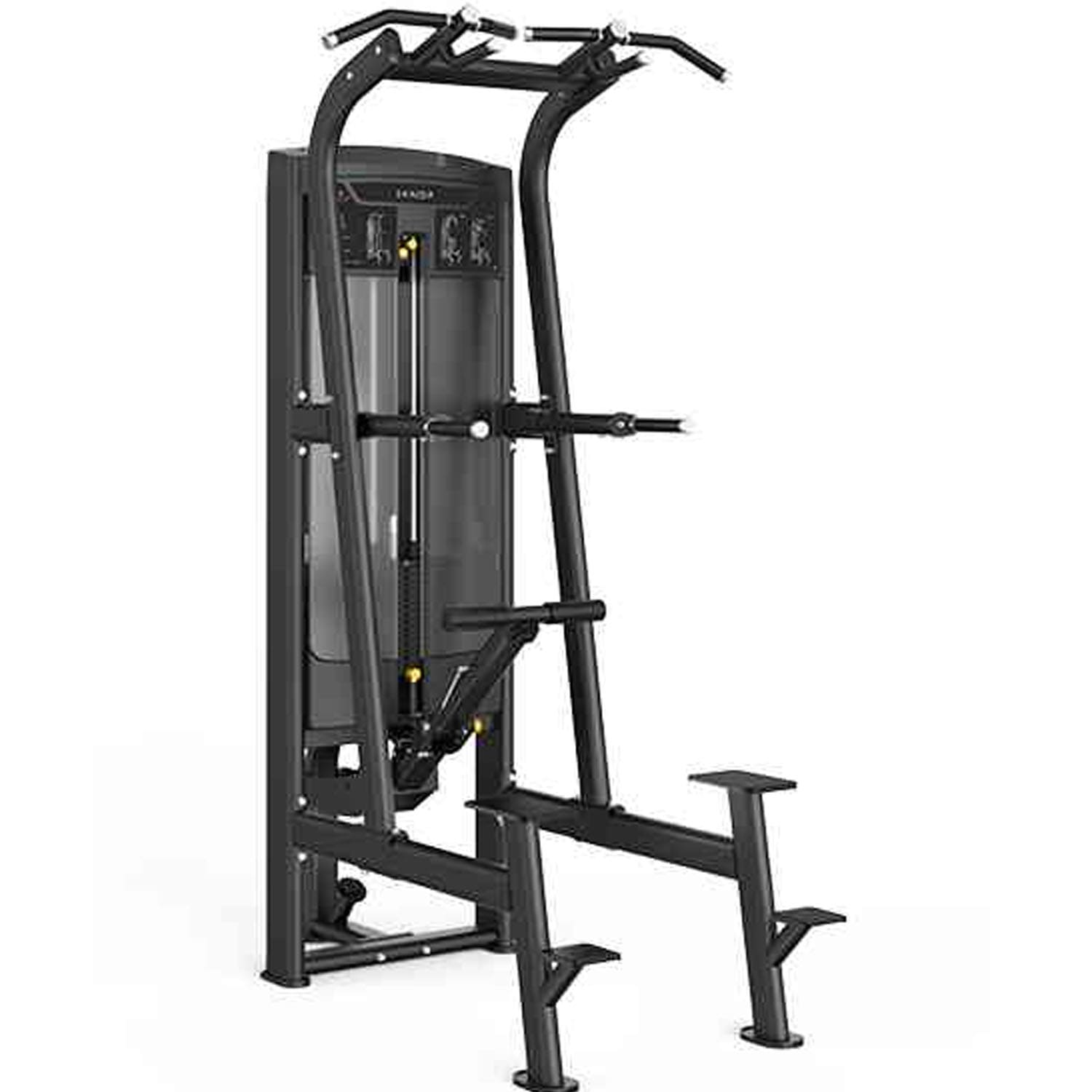 Insight Fitness Re Series Assisted Chin& Dip