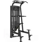 Insight Fitness Re Series Assisted Chin& Dip