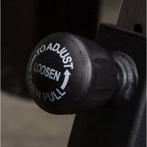 Rogue Fitness Echo Bike V3.0