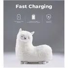 Rotai Alpaca massage pillow