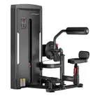 Insight Fitness Abdominal Back Extension SA009D