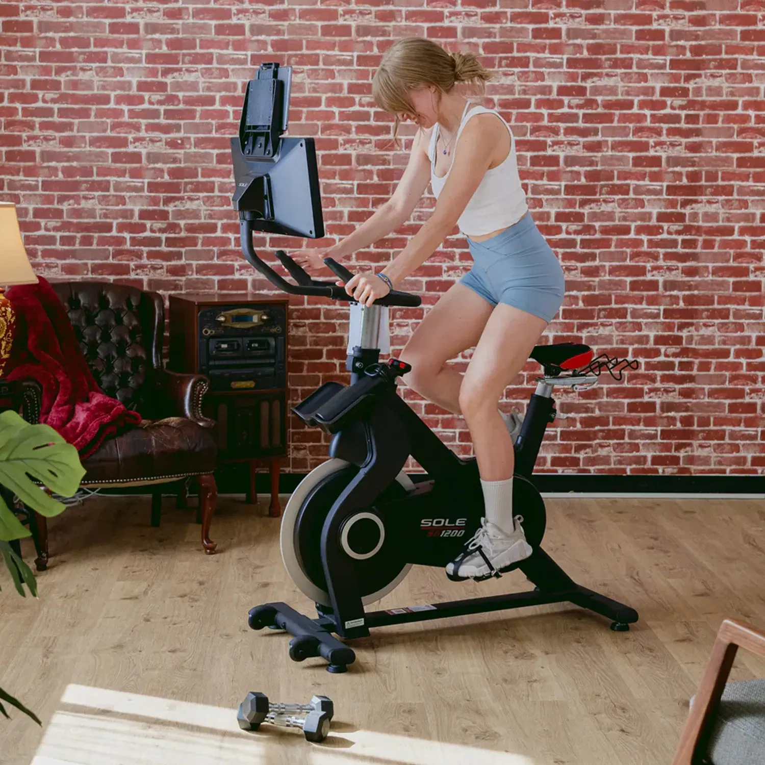 Sole Fitness SB1200 Exercise Bike