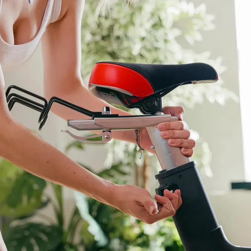 Sole Fitness SB1200 Exercise Bike