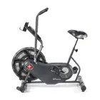 Schwinn Airdyne AD6 AirBike