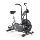 Schwinn Airdyne AD6 AirBike