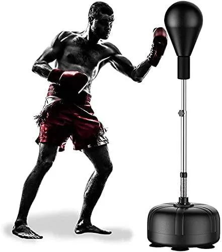 SDQ Stable and Adjustable Water-Filled Boxen Training Stand