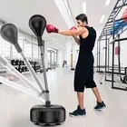 SDQ Stable and Adjustable Water-Filled Boxen Training Stand