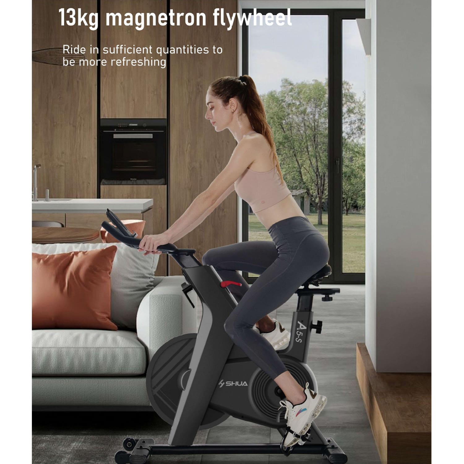 SHUA B599 Home Use Spinning Bike